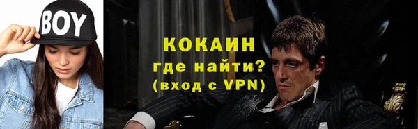 прущий лед Алзамай