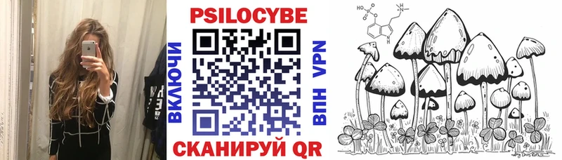 Псилоцибиновые грибы Psilocybe  Купить  Талдом 